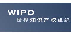国际专利分类（IPC）